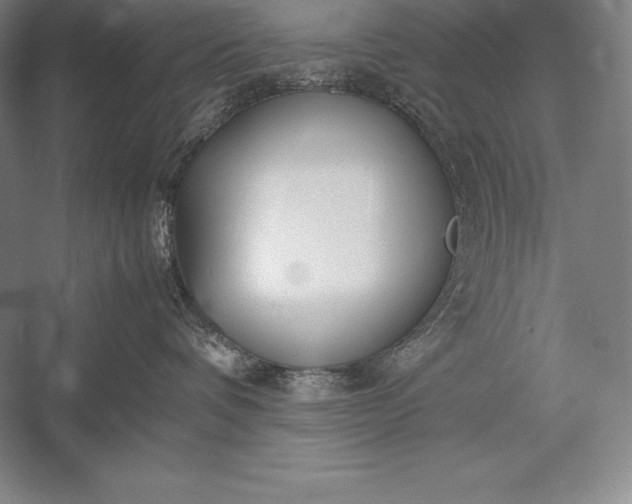 X0000052990336200507221227