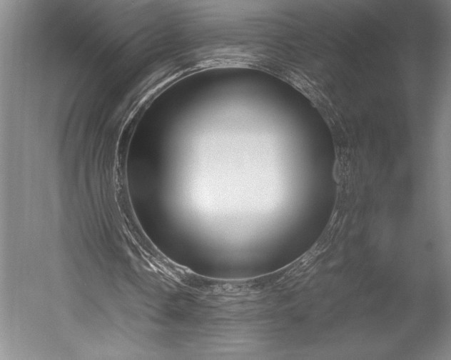 X0000052990338200507221226