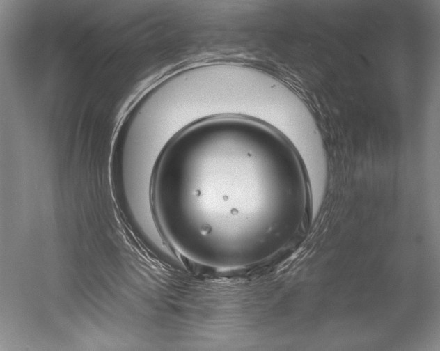 X0000052990340200507221226
