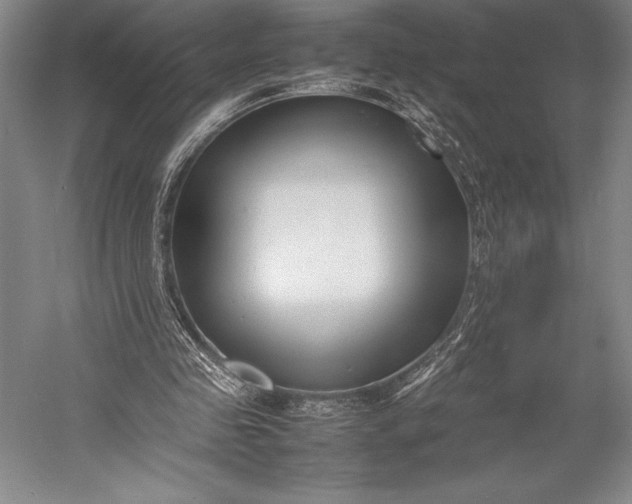 X0000052990341200507221226