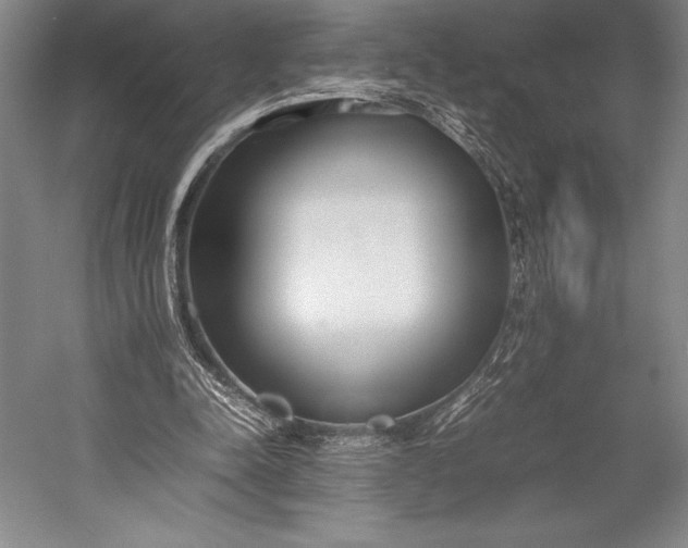 X0000052990342200507221226
