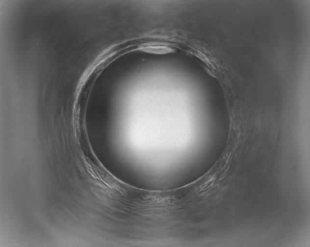 X0000052990343200507221226