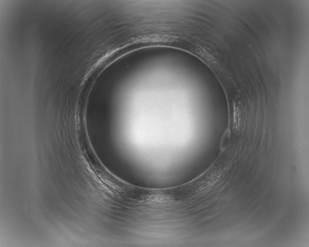 X0000052990348200507221226