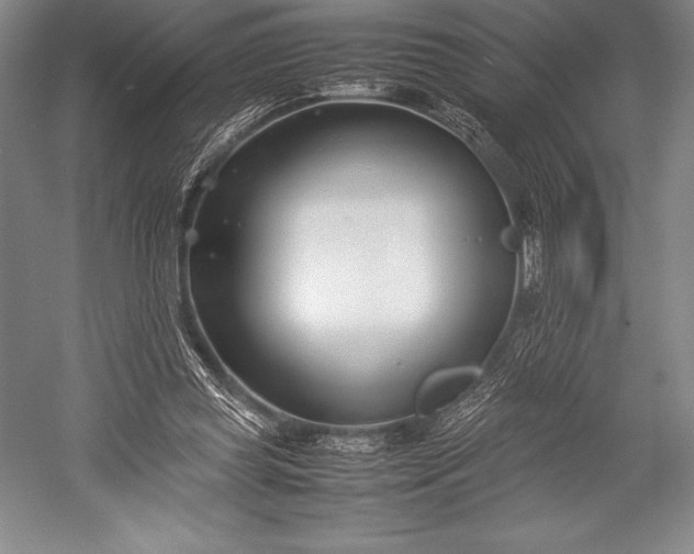 X0000052990349200507221226