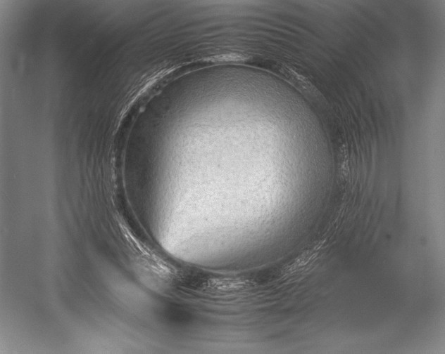 X0000052990351200507221227