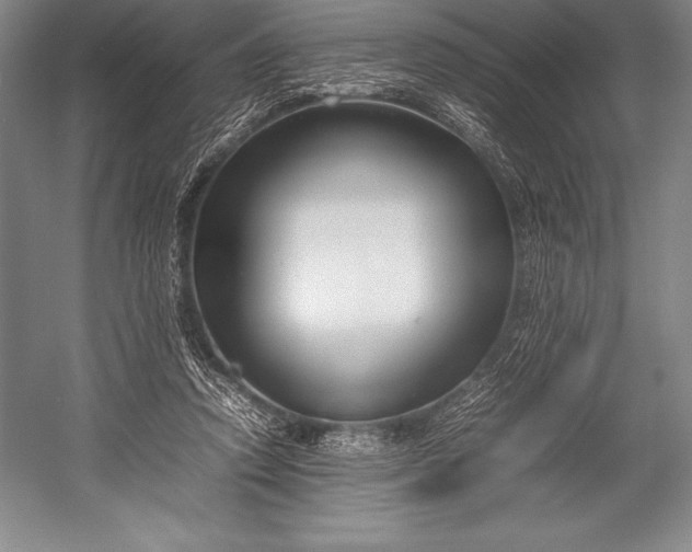 X0000052990354200507221227