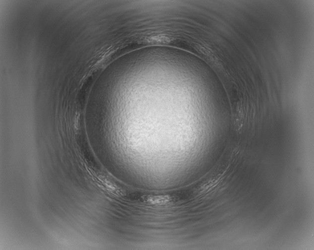 X0000052990355200507221227