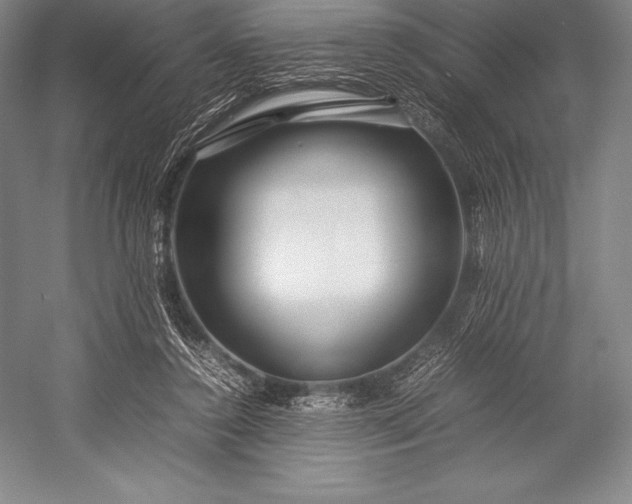 X0000052990356200507221227