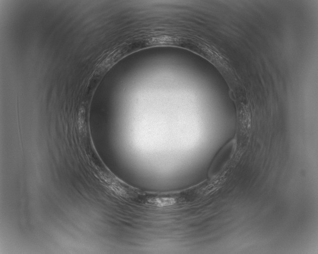 X0000052990361200507221227