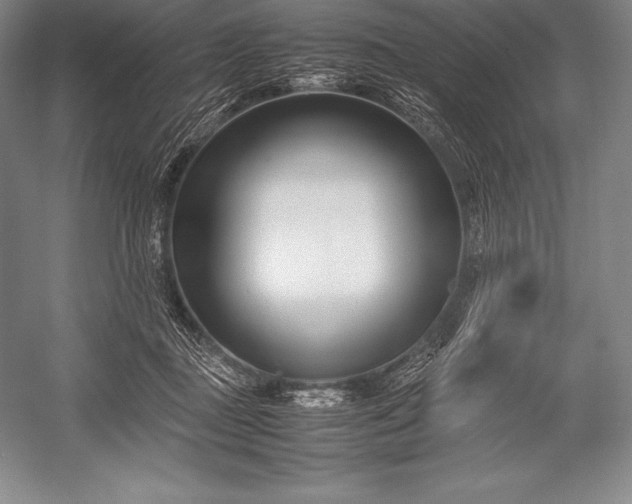X0000052990363200507221227
