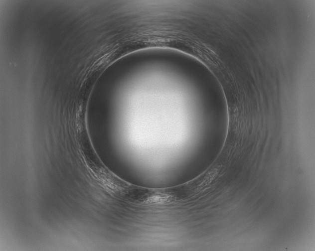 X0000052990364200507221227