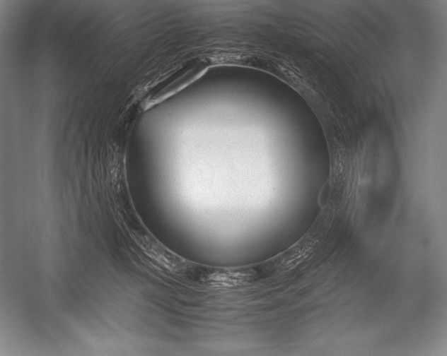 X0000052990367200507221227