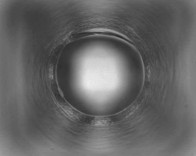 X0000052990368200507221227