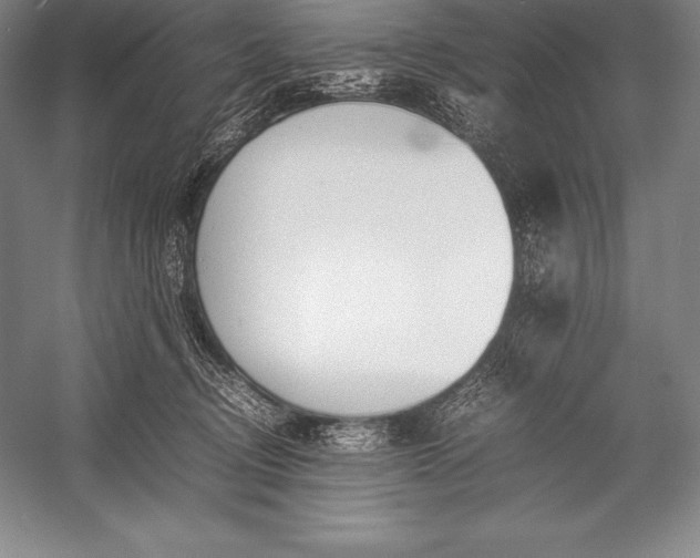 X0000052990370200507221227