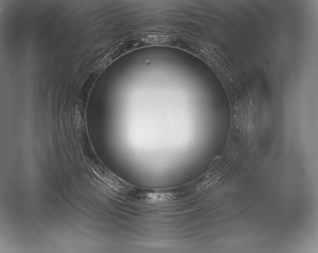 X0000052990371200507221227