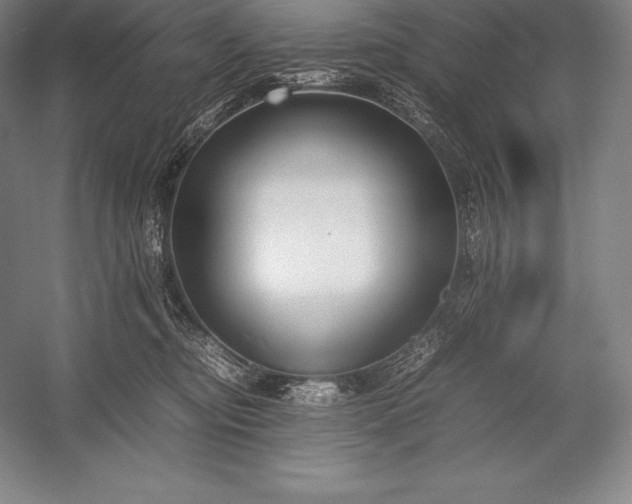 X0000052990374200507221227
