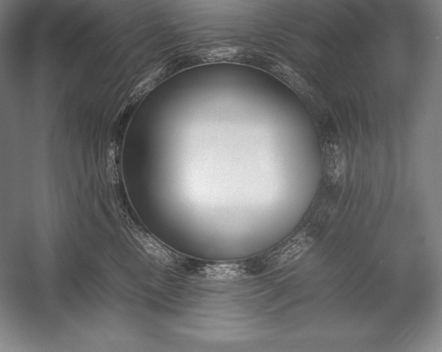 X0000052990378200507221227