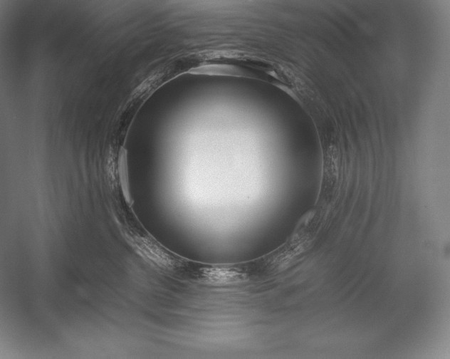 X0000052990380200507221227