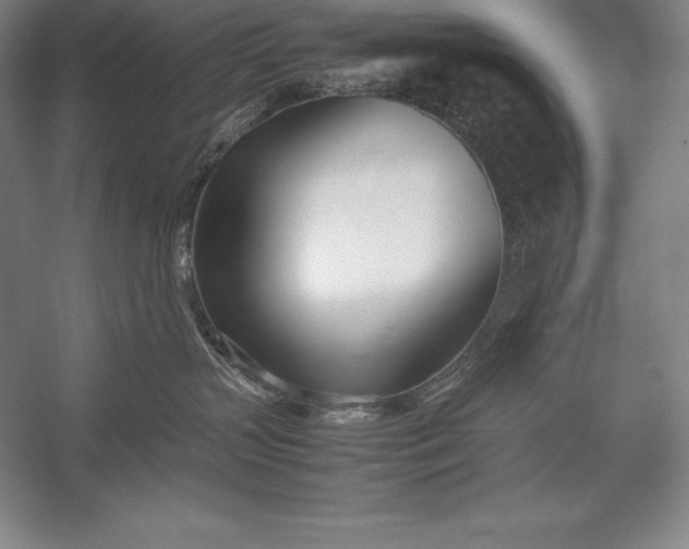 X0000052990383200507221227