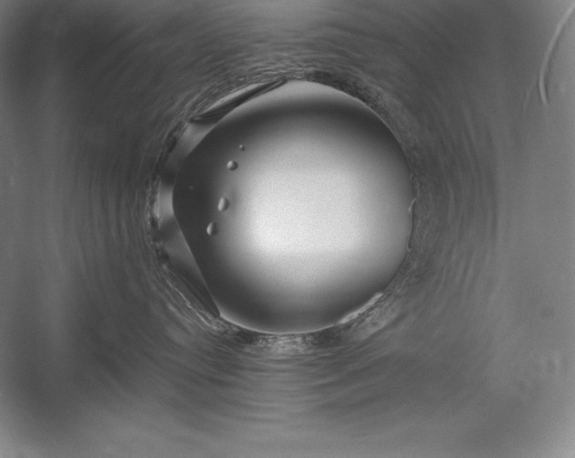 X0000052990384200507221227