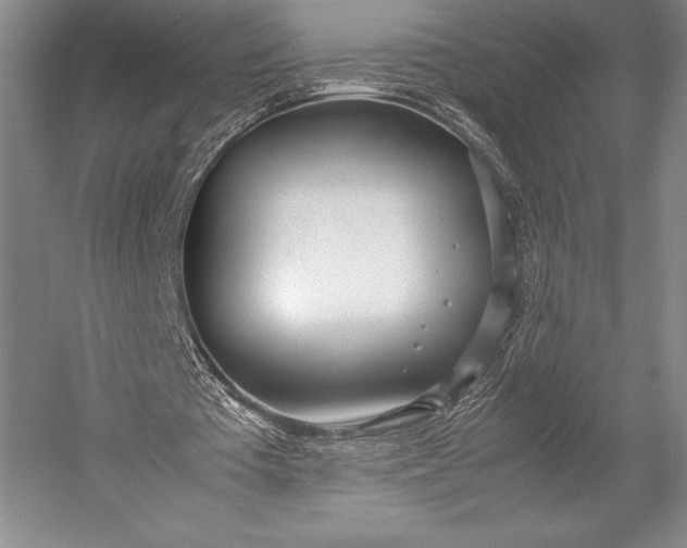 X0000052990385200507221226