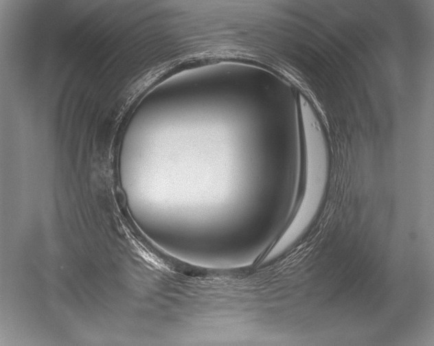 X0000052990389200507221226