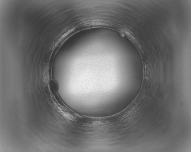 X0000052990390200507221226