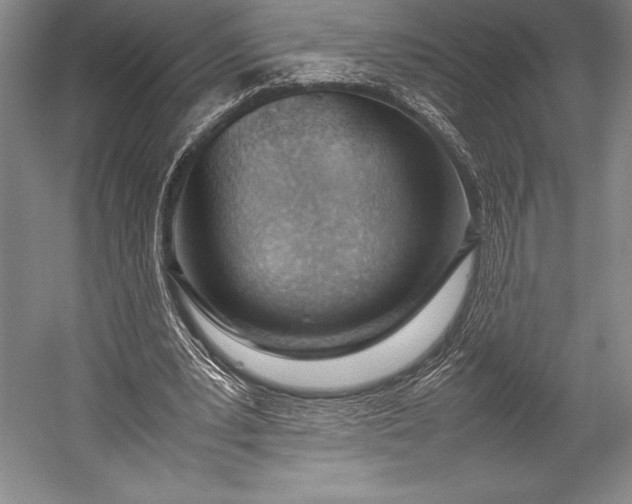 X0000052990391200507221226