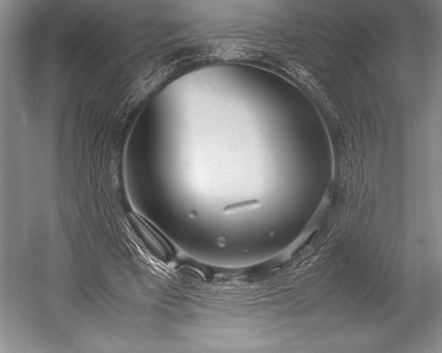 X0000052990393200507221226