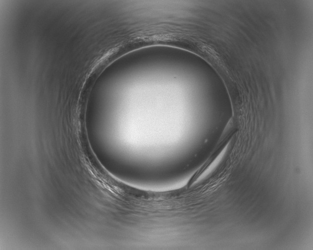 X0000052990395200507221226