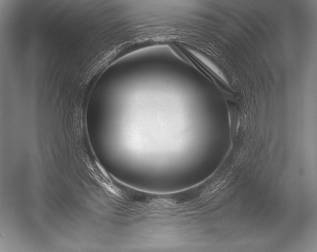 X0000052990397200507221226