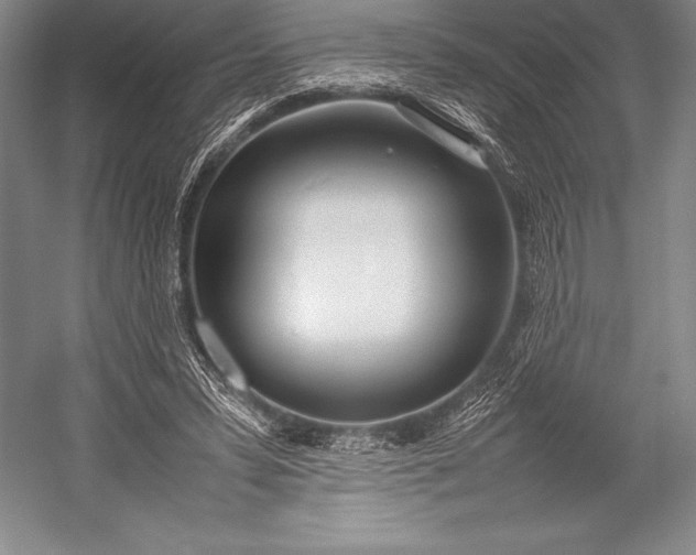 X0000052990399200507221226