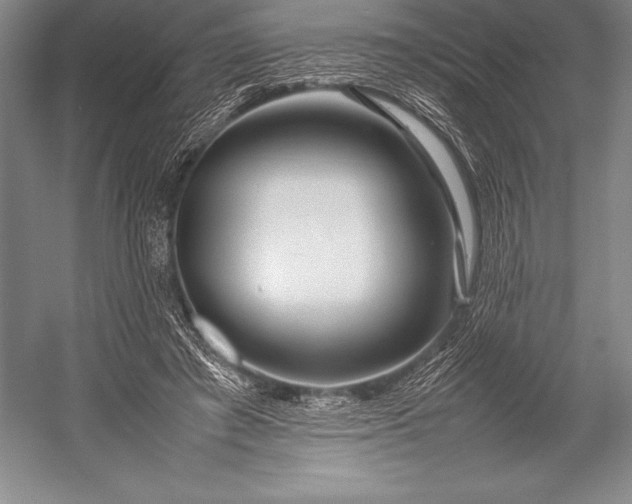 X0000052990401200507221226