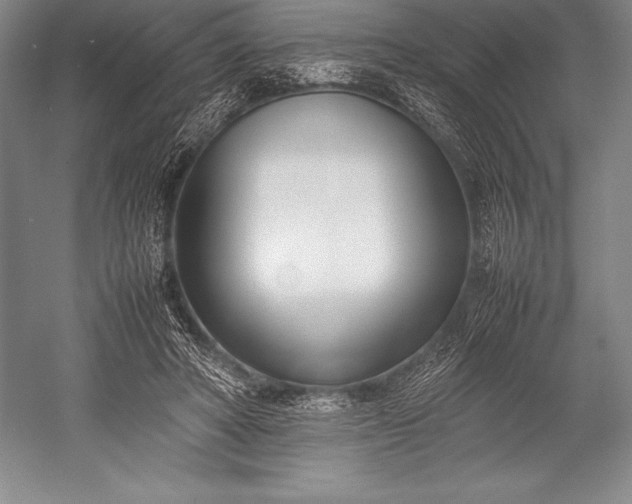 X0000052990402200507221226