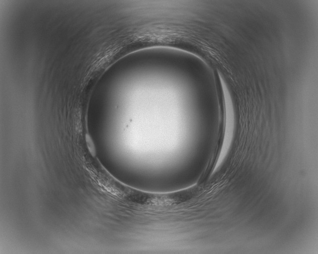 X0000052990403200507221226