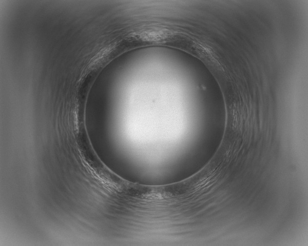 X0000052990404200507221226