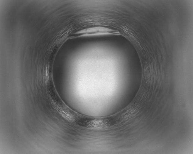 X0000052990406200507221226