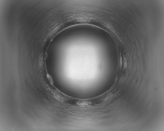 X0000052990407200507221226