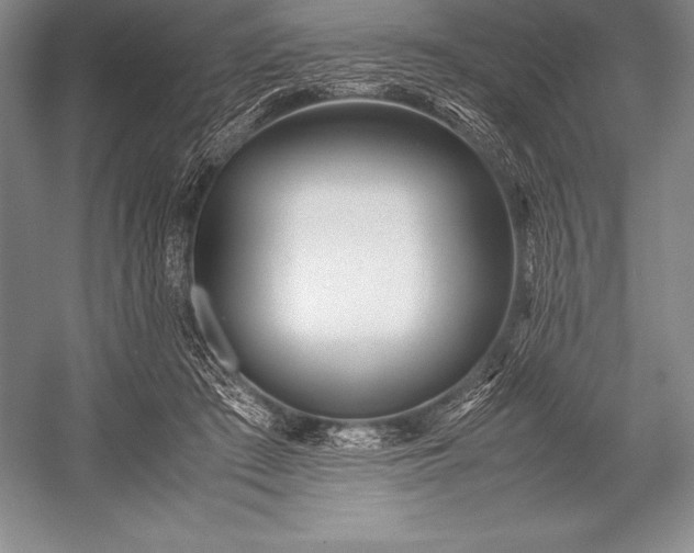 X0000052990409200507221226