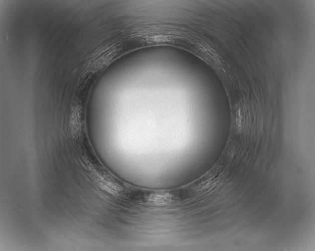 X0000052990410200507221226