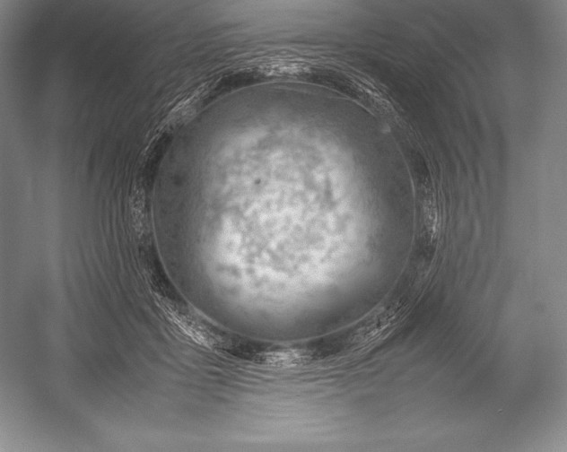 X0000052990411200507221226