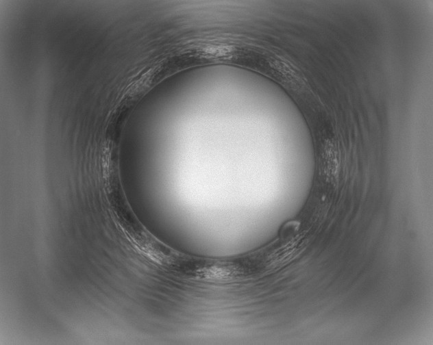 X0000052990412200507221226