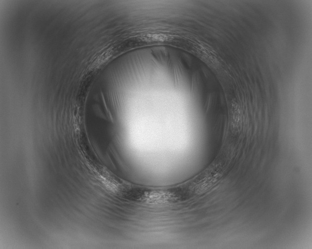 X0000052990414200507221226