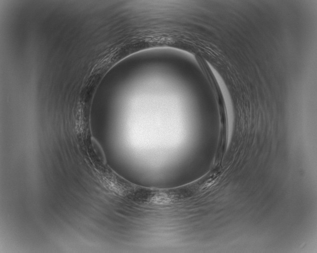X0000052990416200507221226