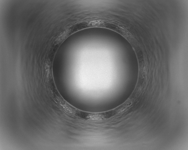 X0000052990417200507221226