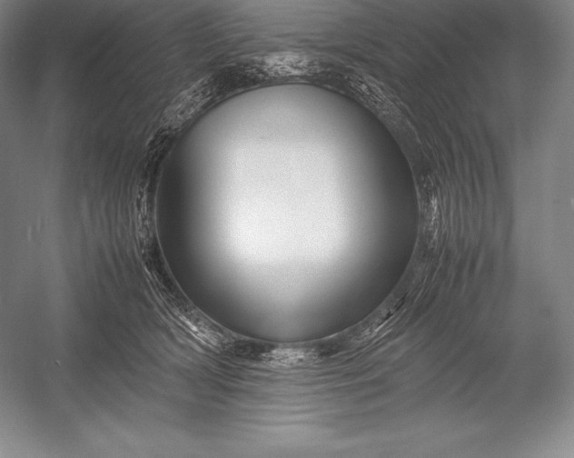 X0000052990418200507221226