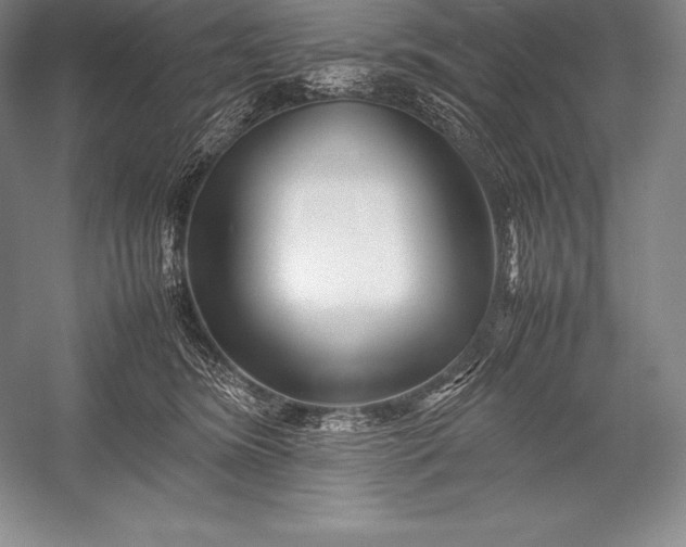 X0000052990420200507221226