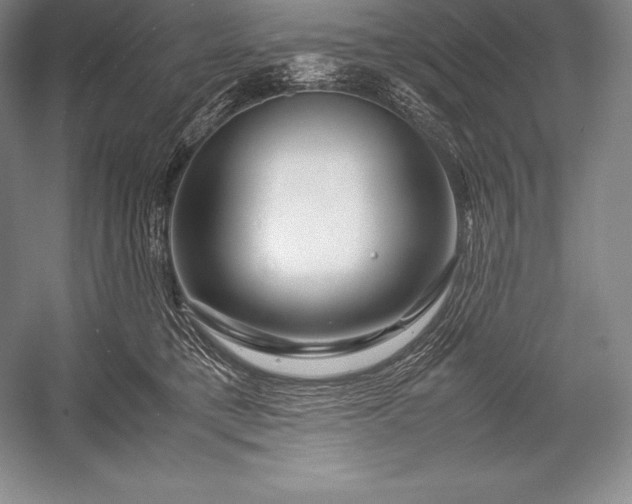 X0000052990421200507221226