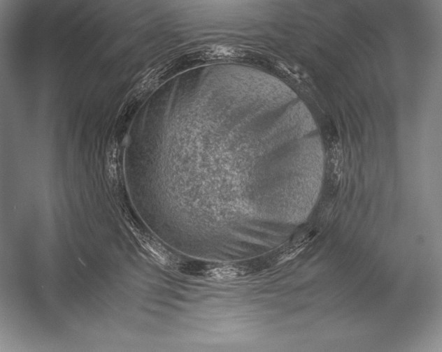 X0000052990423200507221226