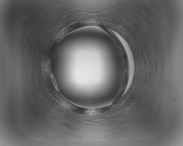X0000052990425200507221226
